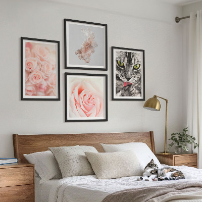 Composizione di 4 quadri Rose astratte di gatto grigio