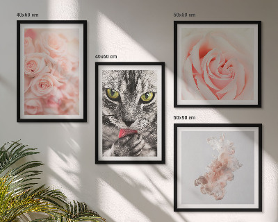 Composizione di 4 quadri Rose astratte di gatto grigio
