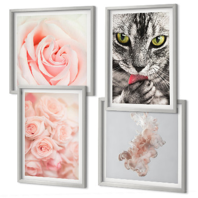 Composizione di 4 quadri Rose astratte di gatto grigio