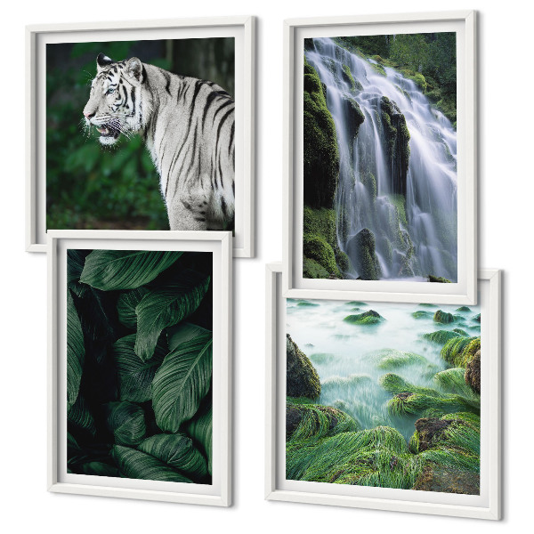 Composizione di 4 quadri Foglie della cascata della tigre bianca