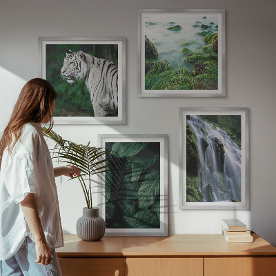 Composizione di 4 quadri Foglie della cascata della tigre bianca