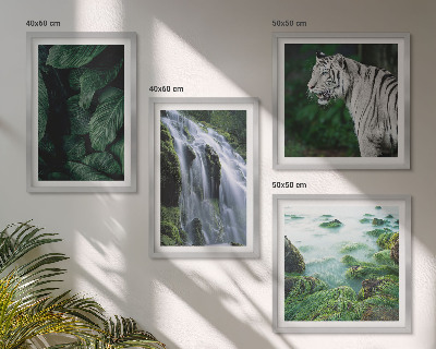 Composizione di 4 quadri Foglie della cascata della tigre bianca