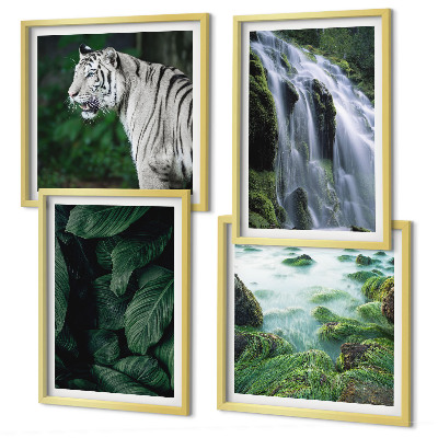 Composizione di 4 quadri Foglie della cascata della tigre bianca