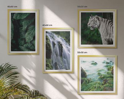 Composizione di 4 quadri Foglie della cascata della tigre bianca