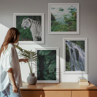 Composizione di 4 quadri Foglie della cascata della tigre bianca