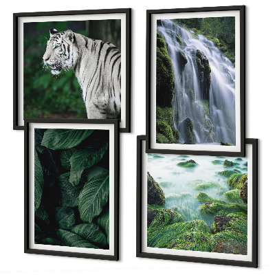 Composizione di 4 quadri Foglie della cascata della tigre bianca