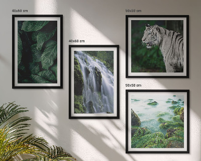 Composizione di 4 quadri Foglie della cascata della tigre bianca