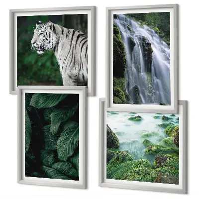 Foglie della cascata della tigre bianca composizione di 4 quadri