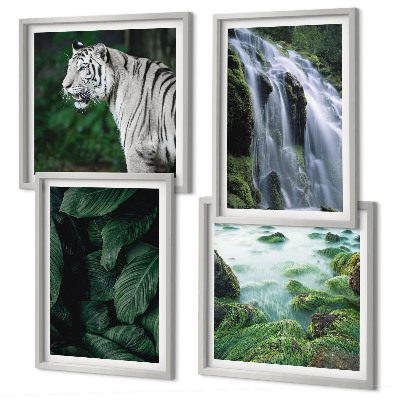 Composizione di 4 quadri Foglie della cascata della tigre bianca
