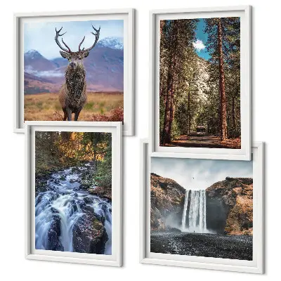 Galleria a parete con scena di cervo nella foresta tra le montagne