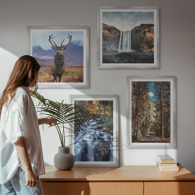 Galleria a parete cascata foresta montagne cervo natura