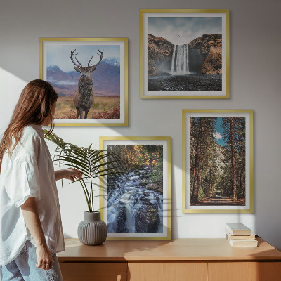 Galleria a parete cascata foresta montagne cervo natura