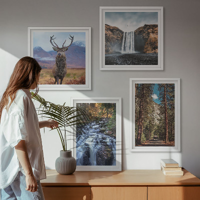 Galleria a parete cascata foresta montagne cervo natura