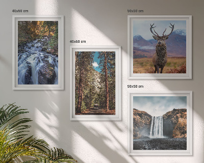 Galleria a parete cascata foresta montagne cervo natura