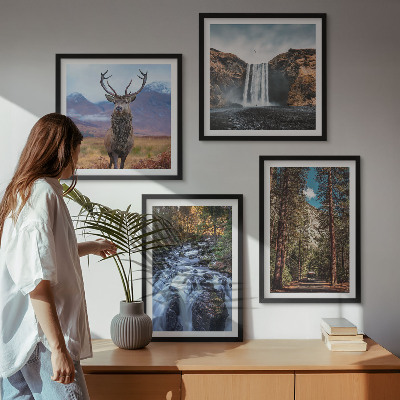 Galleria a parete cascata foresta montagne cervo natura