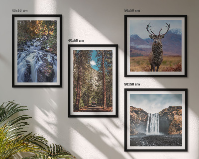 Galleria a parete cascata foresta montagne cervo natura