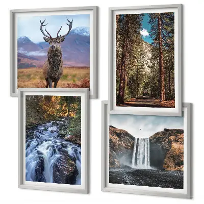 Galleria a parete con scena di cervo nella foresta tra le montagne