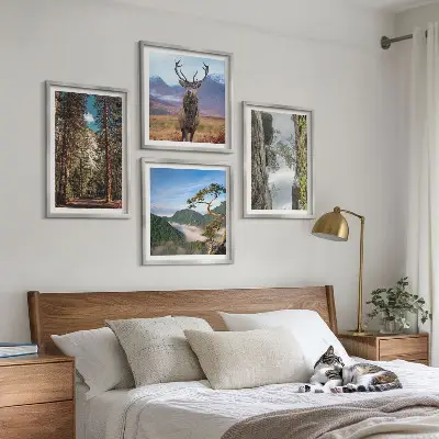 Composizione di 4 quadri con paesaggio di strada nella foresta di montagna con cervo