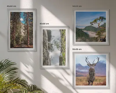 Composizione di 4 quadri con paesaggio di strada nella foresta di montagna con cervo