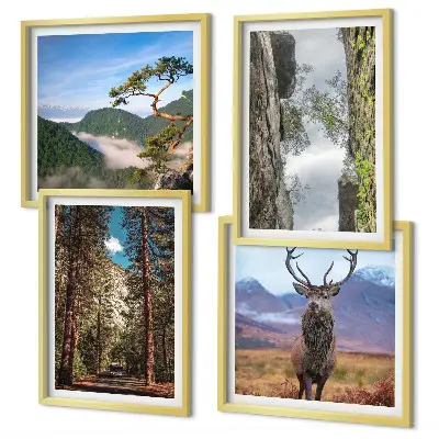 Composizione di 4 quadri con paesaggio di strada nella foresta di montagna con cervo