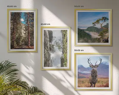 Composizione di 4 quadri con paesaggio di strada nella foresta di montagna con cervo