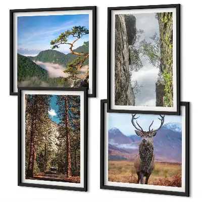 Composizione di 4 quadri con paesaggio di strada nella foresta di montagna con cervo