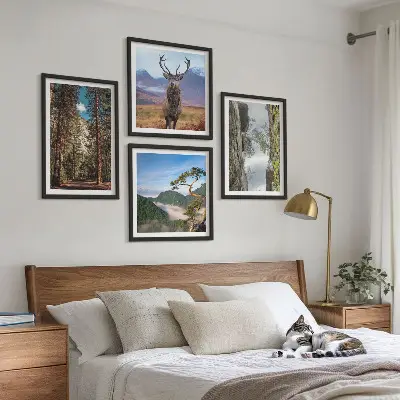 Composizione di 4 quadri con paesaggio di strada nella foresta di montagna con cervo