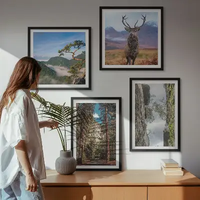 Composizione di 4 quadri con paesaggio di strada nella foresta di montagna con cervo