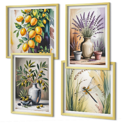 Composizione di 4 quadri Fiori d'ulivo in vaso, natura