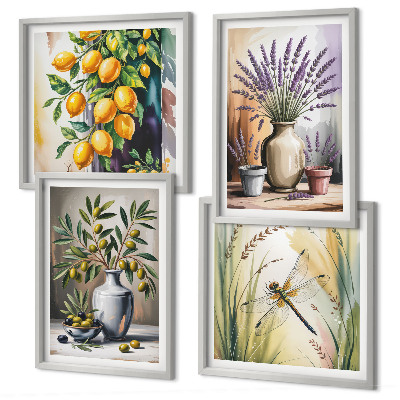 Composizione di 4 quadri Fiori d'ulivo in vaso, natura