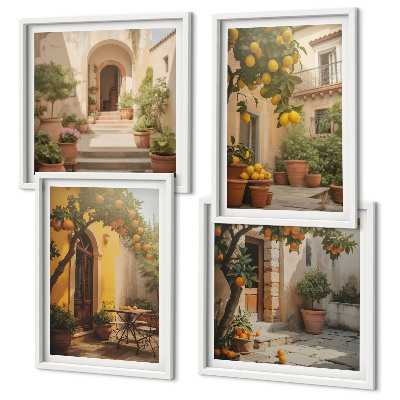 Composizione di 4 quadri Patio con alberi di agrumi