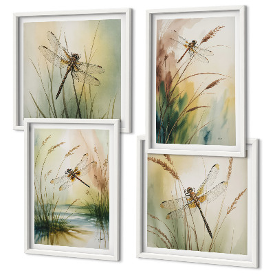 Composizione di 4 quadri Libellule, pittura ad acquerello sull'erba