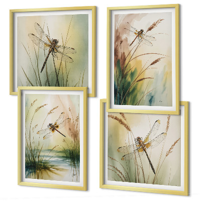 Composizione di 4 quadri Libellule, pittura ad acquerello sull'erba