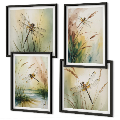 Composizione di 4 quadri Libellule, pittura ad acquerello sull'erba