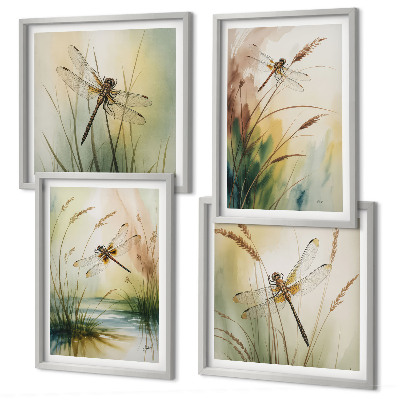 Composizione di 4 quadri Libellule, pittura ad acquerello sull'erba