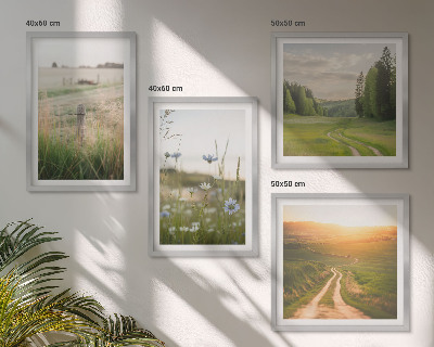 Galleria a parete Paesaggi natura campi sole