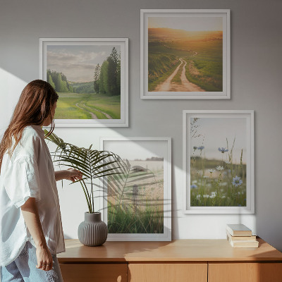 Galleria a parete Paesaggi natura campi sole