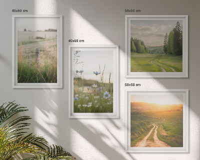 Galleria a parete Paesaggi natura campi sole