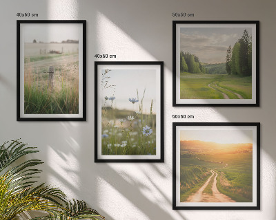 Galleria a parete Paesaggi natura campi sole