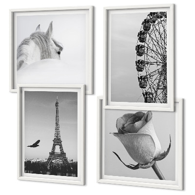 Galleria a parete Rosa Torre Eiffel Cavallo Ruota panoramica B&N