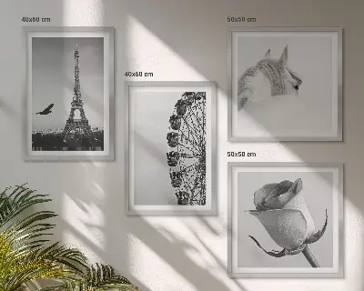 Galleria a parete con stampa in bianco e nero raffigurante la Torre Eiffel, un cavallo e una ruota panoramica