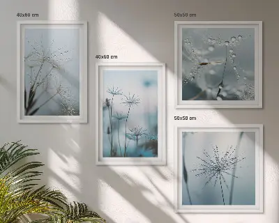 Gocce d'acqua di tarassaco composizione di 4 quadri