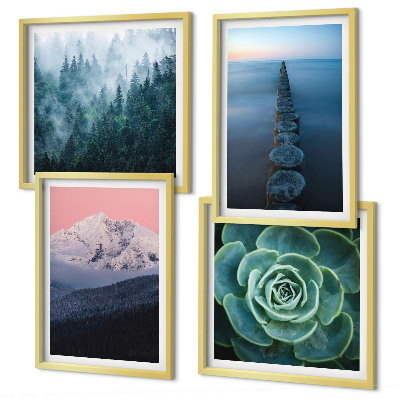 Galleria a parete Montagne cielo rosa acqua succulenta