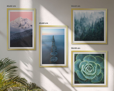 Galleria a parete Montagne cielo rosa acqua succulenta