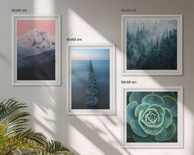 Galleria a parete Montagne cielo rosa acqua succulenta