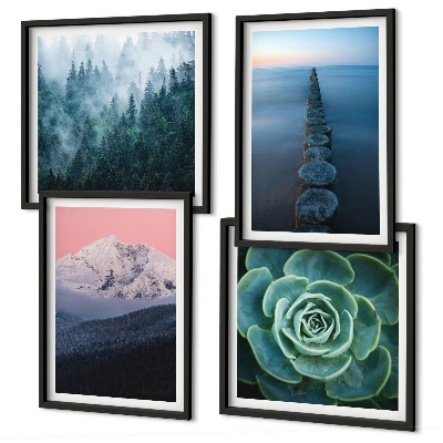 Galleria a parete Montagne cielo rosa acqua succulenta