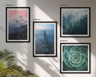 Galleria a parete Montagne cielo rosa acqua succulenta