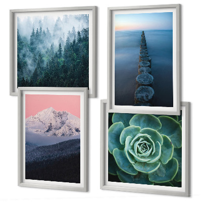 Galleria a parete Montagne cielo rosa acqua succulenta