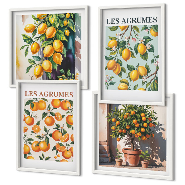 Galleria a parete Motivi agrumati fruttati