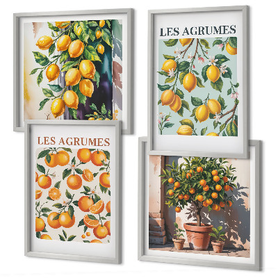 Galleria a parete Motivi agrumati fruttati